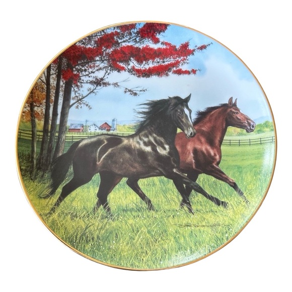 Danbury Mint Decorative Plate ‘Autumn Run’ by Donald Patterson Limited Edition - Picture 1 of 5